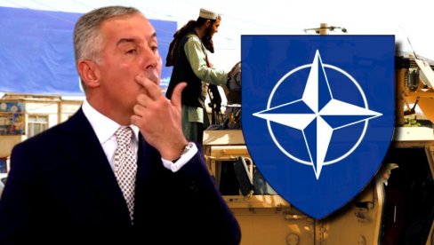 СТИДИ СЕ, МИЛО: Ђукановић у страху због краха НАТО авантуре у Авганистану
