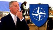 MILO ŽALI ZBOG KABULA, ĆUTI O TONI KOKAINA: Ni reč nije rekao o rekordnoj zapleni droge, oglasio se o NATO saveznicima