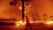 SPALJENO 50 KUĆA: Požari se ne smiruju u Severnoj Kaliforniji (FOTO)