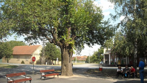 ПРЕДАЈА У РАТУ ЗА ВОДОВОД: После осам година отпора, житељи Липара уступају мрежу Комуналцу у Кули