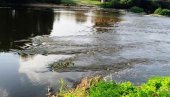 VELIKA MORAVA OTKRILA DREVNE TAJNE: Iz najduže srpske reke, zbog niskog vodostaja, izronili artefakti prošlosti i prirode (FOTO)