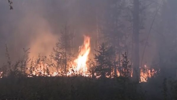 ПАКАО У РУСИЈИ: Стотине пожара букти широм земље, ватра захватила 1.277.628 хектара