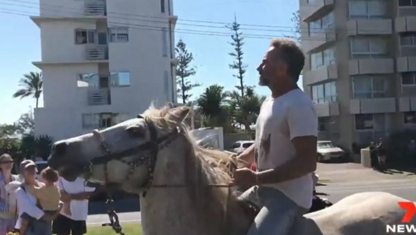 ЕПСКА СЦЕНА НА ПРОТЕСТУ У АУСТРАЛИЈИ: Демонстрант на белом коњу упутио поруку окупљенима (ВИДЕО)