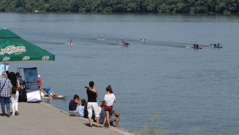 ФЕСТИВАЛ ЧАМАЦА У ЗЕМУНУ: Протеклог викенда одржана регата на Дунаву