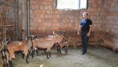 MENJAO KAFANU ZA KOZE I OVCE: Dobrica Jevremović napustio ugostiteljstvo posle 22 godine i postao stočar