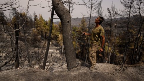 POSLEDICE STRAŠNIH POŽARA: Uništena trećina šuma na Eviji!