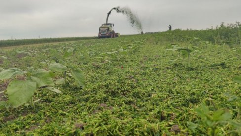 РАЗВОЈ КОНЦЕПТА ЗДРАВЕ ХРАНЕ: Градоначелник Радојичић о потенцијалу пољопривреде у Београду