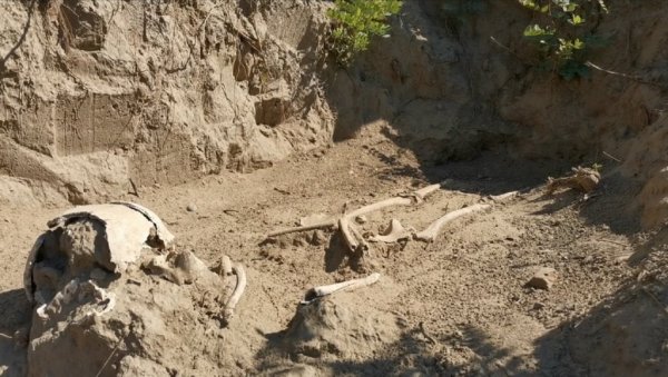 ОТКРИВЕНО 38 ГРОБОВА: Невероватни резултати археолошких истраживања код Варварина