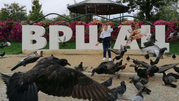 СИМБОЛ ВРШЦА: Јата голубова атракција туристима