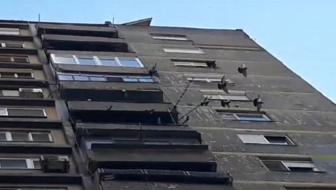 ČITAVA ZGRADA TALAC GOLUBARA: Centar za socijalni rad angažovan na slučaju bračnog para iz Mihajla Pupina