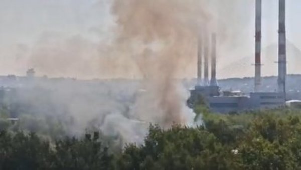 СНИМЦИ ПОЖАРА НА НОВОМ БЕОГРАДУ: Над насељем се надвио облак густог дима - ватрогасци на терену (ФОТО/ВИДЕО)
