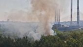 СНИМЦИ ПОЖАРА НА НОВОМ БЕОГРАДУ: Над насељем се надвио облак густог дима - ватрогасци на терену (ФОТО/ВИДЕО)
