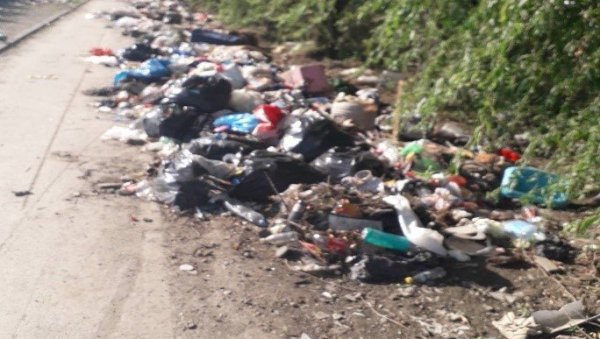 ЧИСТЕ СЕ И ЈАВНЕ ПОВРШИНЕ: Акција уклањања дивљих депонија у Новом Саду