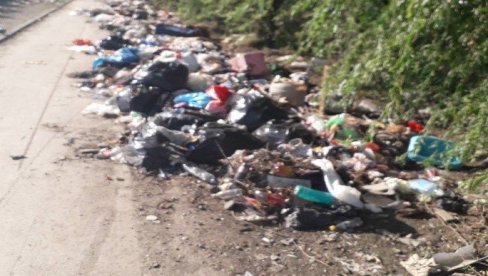 ЧИСТЕ СЕ И ЈАВНЕ ПОВРШИНЕ: Акција уклањања дивљих депонија у Новом Саду
