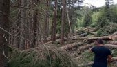 ШУМАРУ СЛОМЉЕНА ШАКА: Из Управе за шуме после напада на раднике поручили да неће толерисати инциденте