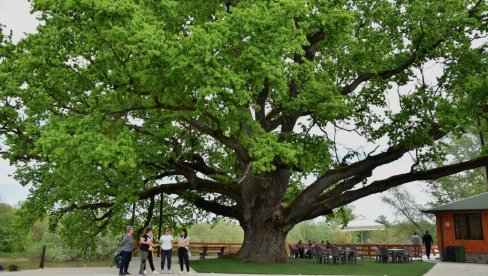 MIHOLJSKI SUSRETI SELA: Prvi put u Jagodini