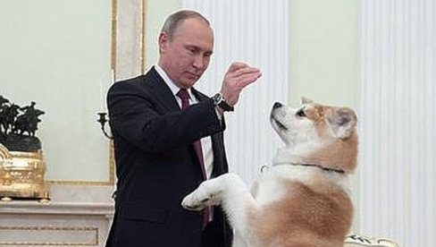 ПОСТУПАК ЗА ИСМЕВАЊЕ? Јапанци траже да Путин врати пса којег је добио на поклон, јер им се не свиђа предлог председника Русије
