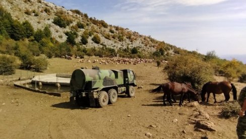 ПРЕЖЕДНЕЛЕ ЖИВОТИЊЕ СВЕ У ТРЕНУ ПОПИЛЕ: Коначно стигла вода за изнемогле коње, краве и овце на Сувој планини