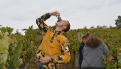 VINOGRADARSKA VELESILA: Toplija klima povećaće proizvodnju vina u Velikoj Britaniji