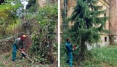 MALI DVORAC „IZVUČEN“ IZ ŠIBLJA: Vršački komunalci orezali naraslo zelenilo oko zdanja u Velikom Središtu