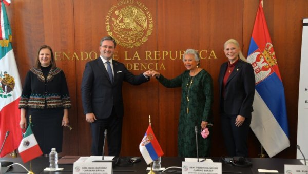 СЕЛАКОВИЋ: Велико поштовање Мексика за реформе у Србији, чврста подршка нашем територијалном интегритету и суверенитету