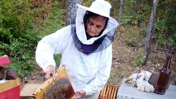 НАЈТЕЖЕ ЈЕ СТИЋИ ДО ПРВЕ КОШНИЦЕ: Борика Савић из Поповца код Параћина била је међу првим женама пчеларима још пре четврт века
