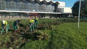 CVEĆE ZA NOVO PROLEĆE: Radnici JKP Gradsko zelenilo pripremaju nove ukrase