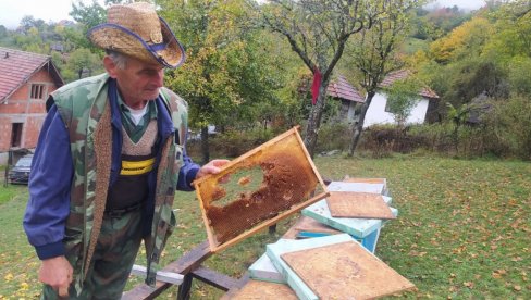 MEŠTANI U STRAHU STREPE ZA BEZBEDNOST: Medvedi sve češći gosti u pribojskom selu Bučje