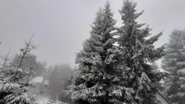 ЗАБЕЛЕЛО СЕ НА БЕСНОЈ КОБИЛИ: Планинска лепотица на југу Србије прекривена снегом (ФОТО)
