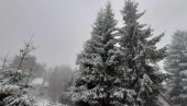 ЗАБЕЛЕЛО СЕ НА БЕСНОЈ КОБИЛИ: Планинска лепотица на југу Србије прекривена снегом (ФОТО)