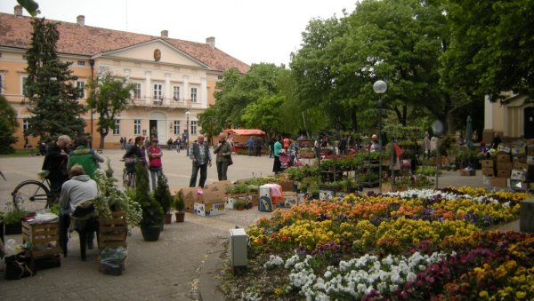 САЈАМ ЦВЕЋА У КИКИНДИ: Изложба ће бити одржана у суботу у центру града