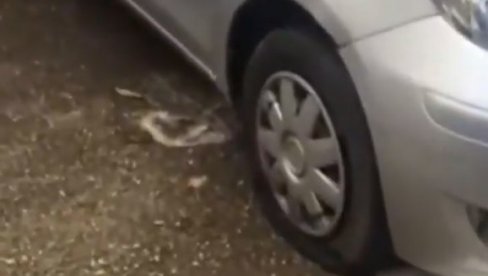 NEVEROVATNA BAHATOST NA VOŽDOVCU! Vlasnici automobila u šoku - Izbušene gume na svim vozilima na parkingu (VIDEO)