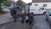 AKCIJA HVATANJA PASA LUTALICA: Komunalna inspekcija u saradnji sa zoohigijenom iz Beograda