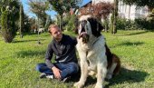 STRAŽAR BERNI: Draško Stanivuković sa svojim psom bernandincem Bernijem