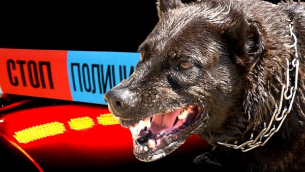 ПОЛИЦИЈА ПРОНАШЛА УНАКАЖЕНО ТЕЛО: Стравични детаљи смрти човека из Мионице - Изгризли га пси, комшије нису смеле у двориште