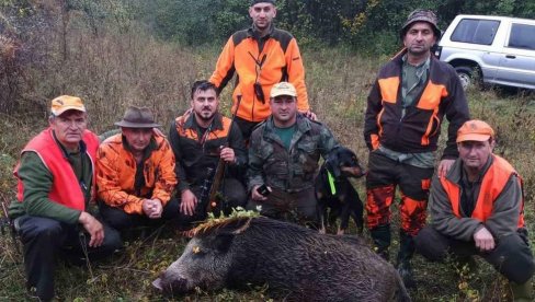 ДОЛИЈАО КАПИТАЛАЦ ЗУЛУМЋАР: Ловци у Дервенти одстрелили огромну звер - дивље свиње направиле велику штету сељацима