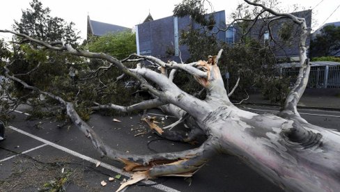 ORKANSKI VETAR U AUSTRALIJI: Čupao krovove i obarao drveće, 450.000 domova ostalo bez struje (VIDEO)