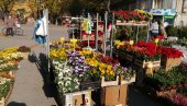 СУБОТИЦА У ЈЕСЕЊИМ БОЈАМА: Отворене су изложбе цвећа Цветна пијаца и Гарден Флора