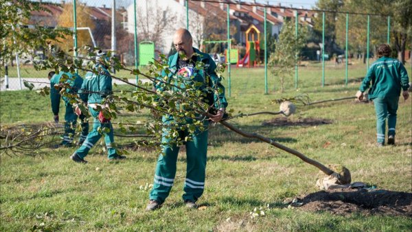 ПУТНИКОВО У НОВОМ РУХУ: Реконструкција зрењанинског парка у пуном јеку