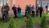 POVODOM SVETSKOG DANA ČISTOG VAZDUHA: U celoj Srbiji organizovana akcija pošumljavanja