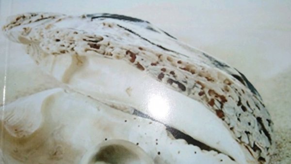 ПОСТХУМНО ОБЈАВЉЕНА ЗБИРКА: Бисерна белина вечерас пред Младеновчанима