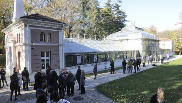 НАТАЛИЈИНА РАМОНДА ПРЕД БЕОГРАЂАНИМА: У Ботаничкој башти Јевремовац изложба посвећена симболу примирја