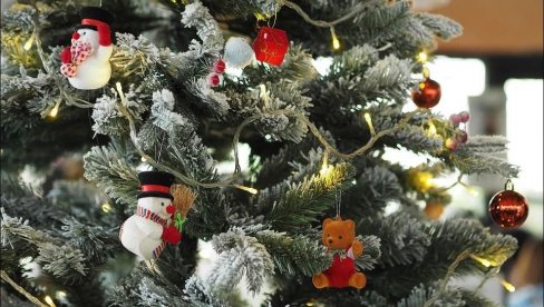 OVAJ TRIK MORATE DA PROBATE: Za samo 100 dinara dobijate jelku kao iz magazina (VIDEO)