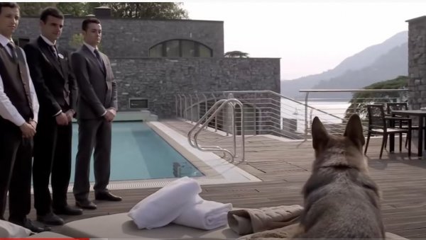 AND THIS IS A DOG'S LIFE: Gunter has 688 million dollars, a private plane, a cook ... (VIDEO)