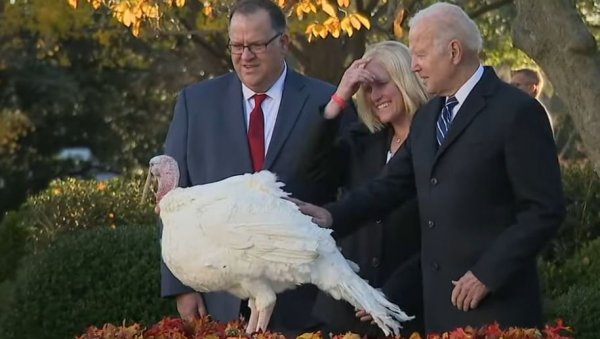 ON THE EVE OF THANKSGIVING DAY: Biden pardoned two turkeys (VIDEO)