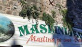 ODRŽANA FEŠTA U SLAVU MASLINE: Manifestacija bez izlagača i sa ograničenim brojem posetilaca