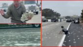 HAOS NA AUTO-PUTU: Ispao novac iz blindiranog kombija, narod navalio pogledajte kako to izgleda (VIDEO)