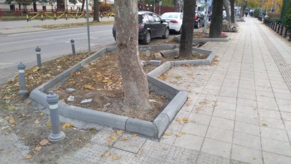 УРЕЂУЈЕ СЕ ДРВОРЕД У СУНЧАНОМ ПАРКУ: Радници на терену