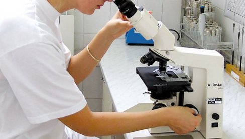 НЕОБИЧАН ФОСИЛ, АЛИ „ЧЕСТ ГОСТ“ ЋИЛИБАРА: Шта је откривено у колекцији славног Гетеа (ФОТО)