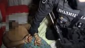 УХАПШЕН ВЛАСНИК НОЋНОГ КЛУБА КОД СМЕДЕРЕВА: Полиција сумња да је организовао проституцију